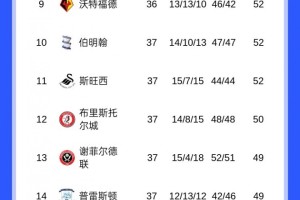 开云体育下载-考文垂领跑英冠，还剩9轮多队仍可冲击附加赛！蓝狐暂离降级区